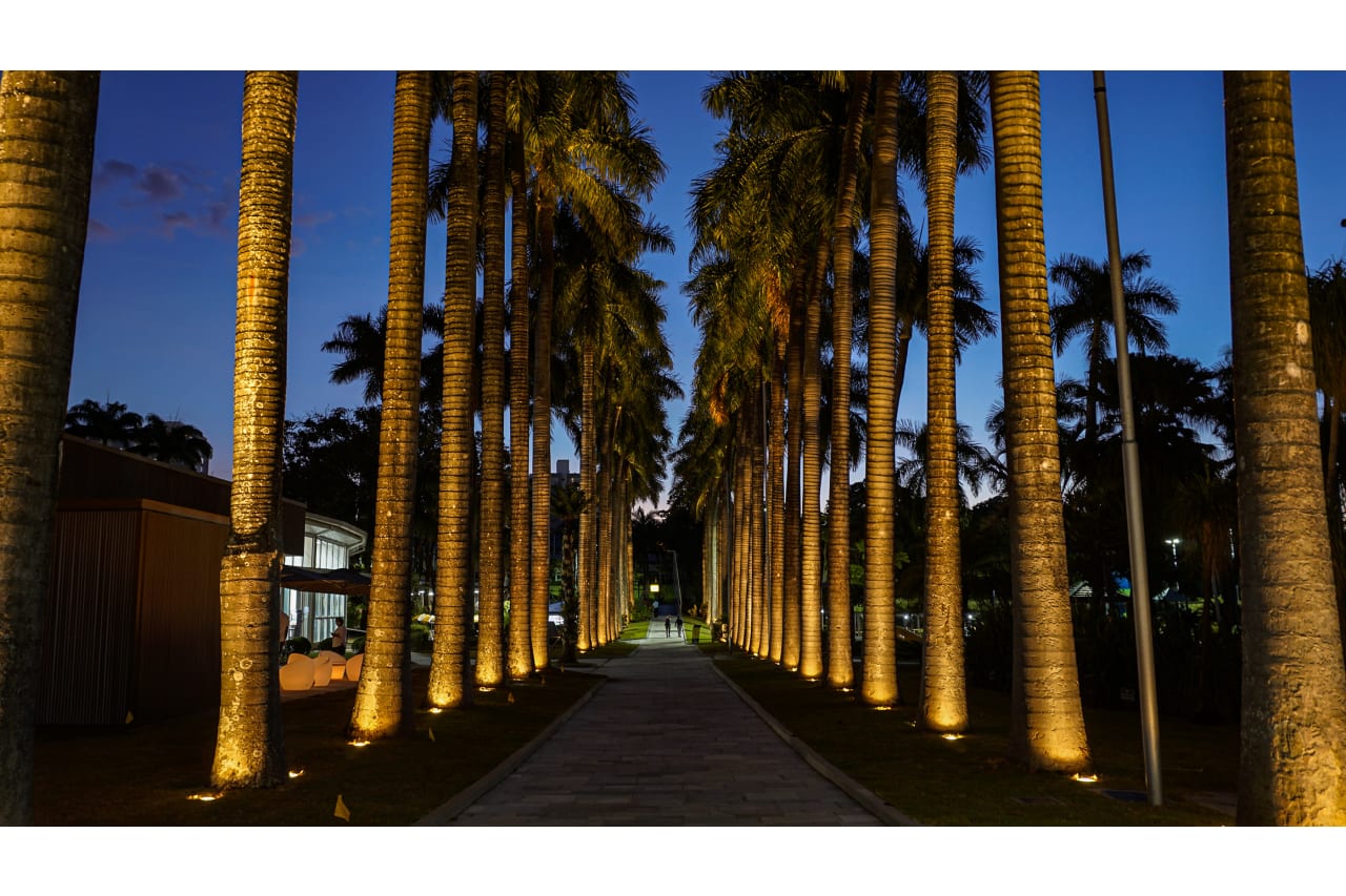 Avenue of palm trees at Praia Clube