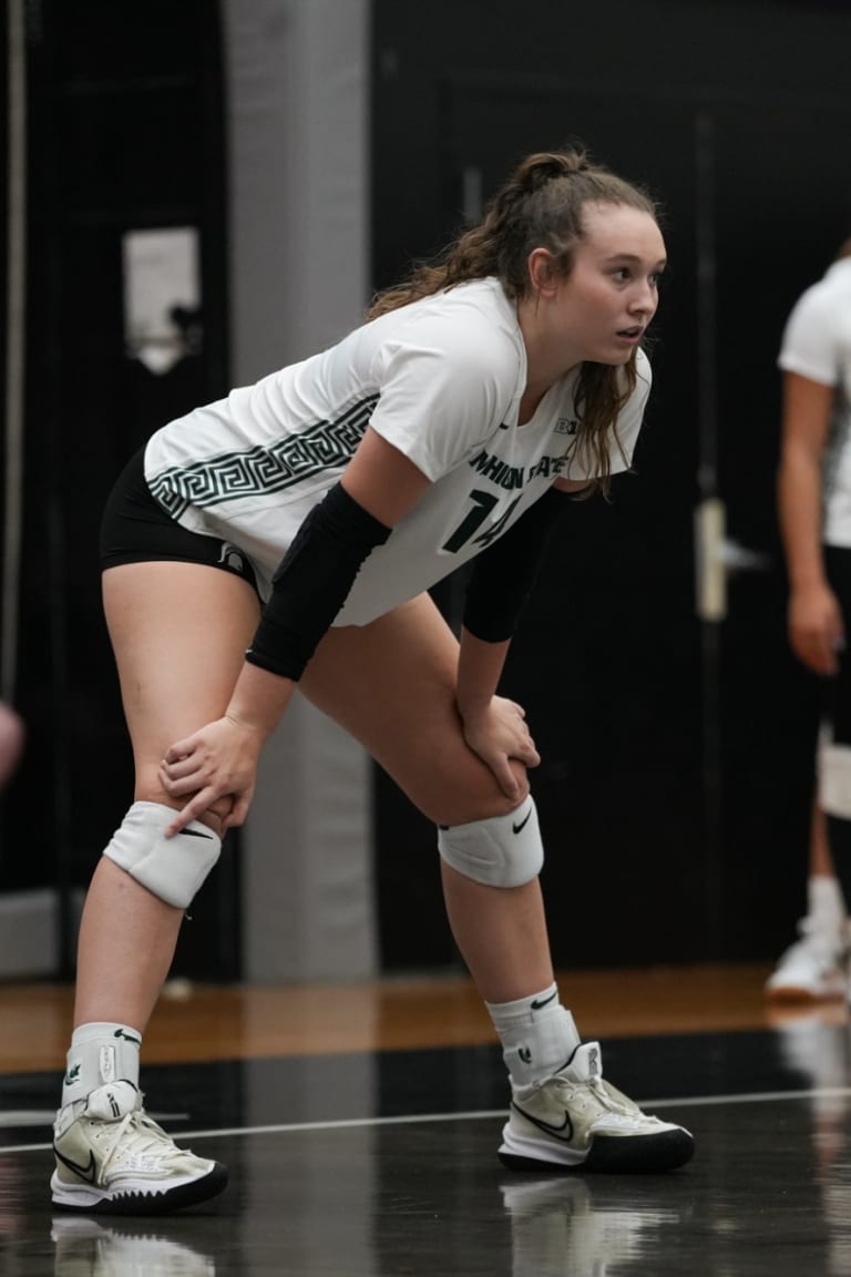 International players leaving their marks in the Big Ten