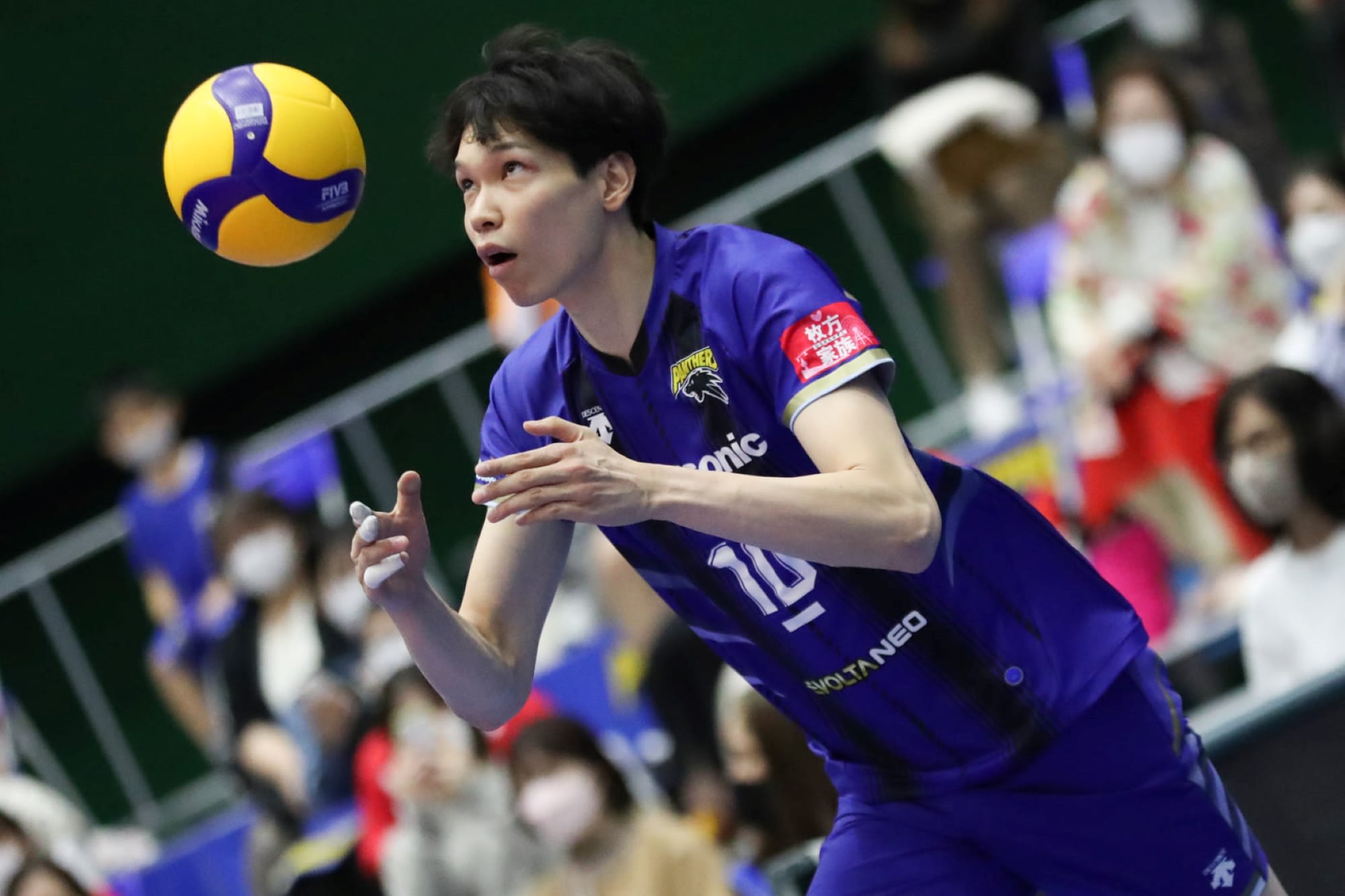 Panasonic Panthers and JT Marvelous remain atop Japan V.League standings