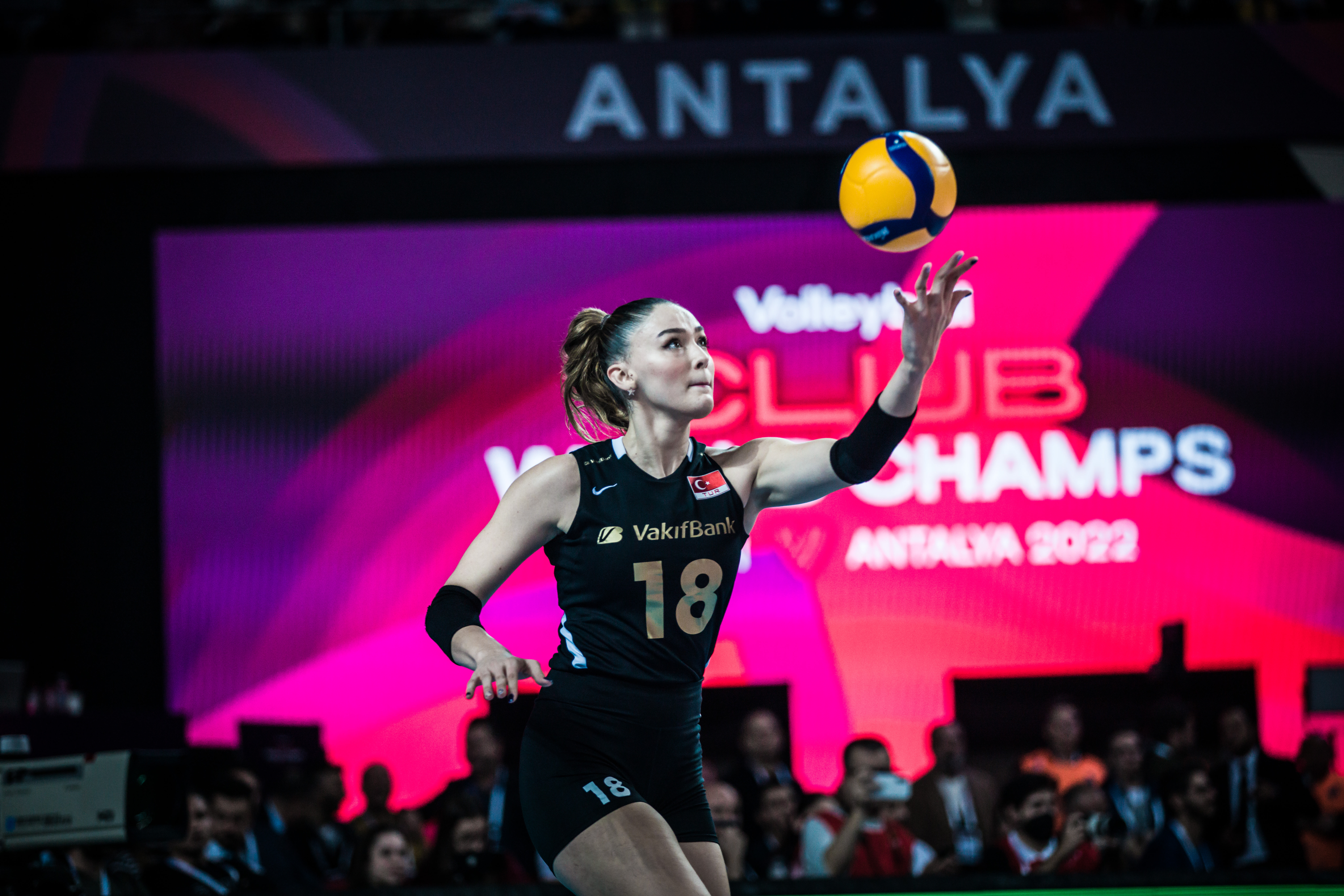 Whats On Your guide to this weeks best LIVE matches volleyballworld