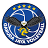 Volleyball team team-jgj logo