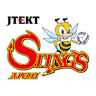 Volleyball team team-sti logo