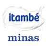 Volleyball team team-imt logo