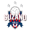 Volleyball team team-sec logo