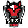 Volleyball team team-ses logo