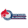 team name Gas Sales Bluenergy Piacenza