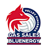 Volleyball team Gas Sales Bluenergy Piacenza logo