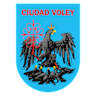 team name Ciudad Voley