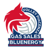 team name Gas Sales Bluenergy Piacenza