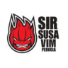 team name Sir Safety Susa Perugia