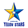Volleyball team Hokkaido Yellow Stars logo