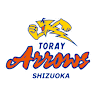 Volleyball team Toray Arrows Shizuoka logo