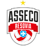 Volleyball team Resovia logo
