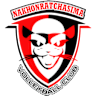 Volleyball team Nakhonratchasima 3M Film VC logo
