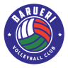 Volleyball team BAIC Motor Volleyball Club logo