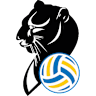 Volleyball team Prosecco DOC Imoco Conegliano logo