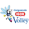 Volleyball team Igor Gorgonzola Novara logo