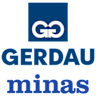 team name Gerdau Minas