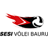 Volleyball team SESI Volei Bauru (BRA) logo