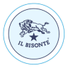 team name Il Bisonte Firenze