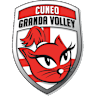 Volleyball team Honda Olivero S.Bernardo Cuneo logo