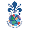 Volleyball team Il Bisonte Firenze logo