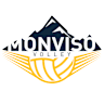 Volleyball team Wash4green Pinerolo logo