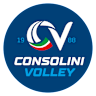 Volleyball team team-sgi logo