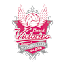Volleyball team team-him logo