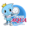 Volleyball team team-kur logo