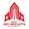 Volleyball team team-nec logo