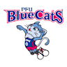 Volleyball team PFU BlueCats Ishikawa Kahoku logo
