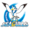 Volleyball team Okayama Seagulls logo