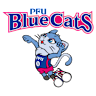 Volleyball team PFU BlueCats logo