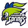 Volleyball team Hisamitsu Springs logo