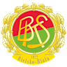 Volleyball team Bielsko-Biała logo
