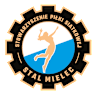 Volleyball team Stal Mielec logo