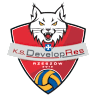 Volleyball team Developres Rzeszów logo