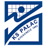 Volleyball team Metalkas Pałac Bydgoszcz logo