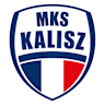 Volleyball team NETLAND MKS Kalisz logo