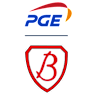 Volleyball team PGE Budowlani Łódź logo