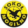 Volleyball team Sokół & Hagric Mogilno logo