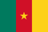 Volleyball team Cameroon flag
