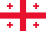 Volleyball team Georgia flag