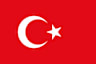 Volleyball team team-tür flag