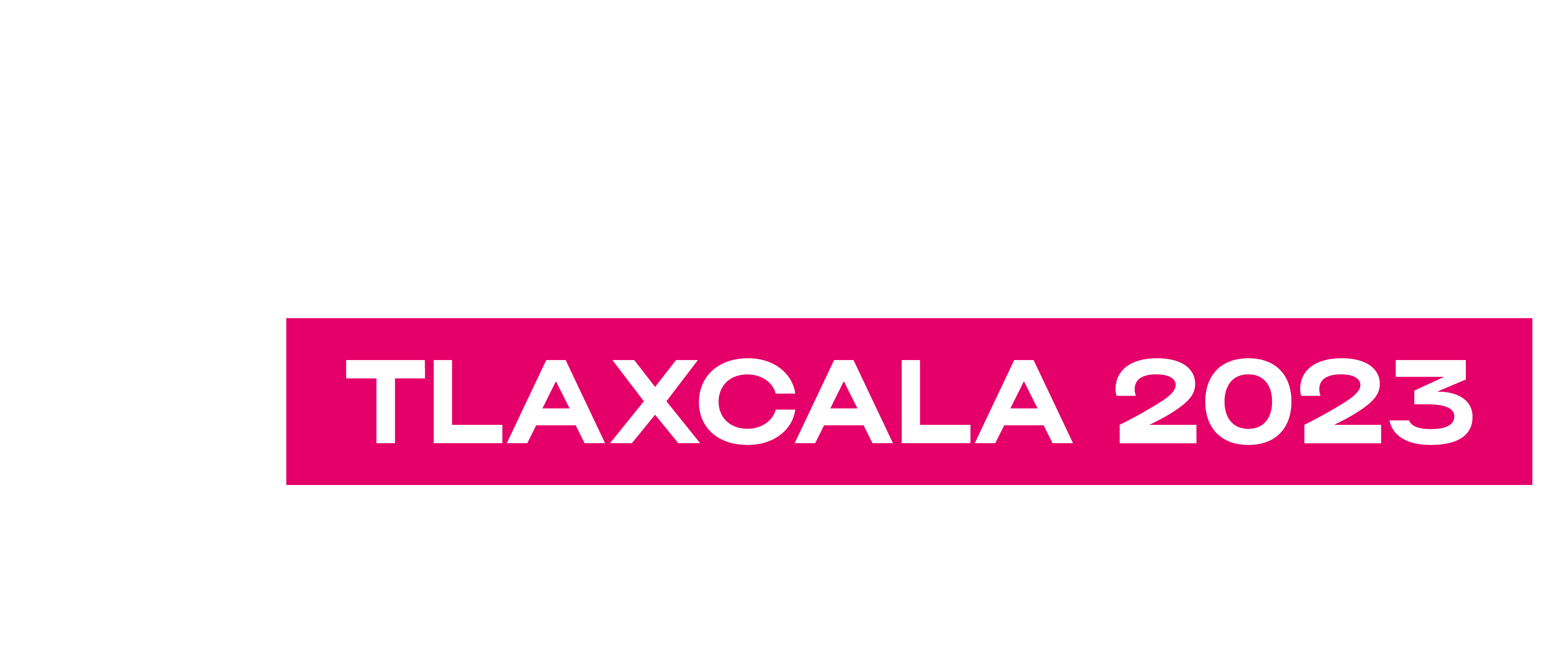 Competition Formula  volleyballworld.com