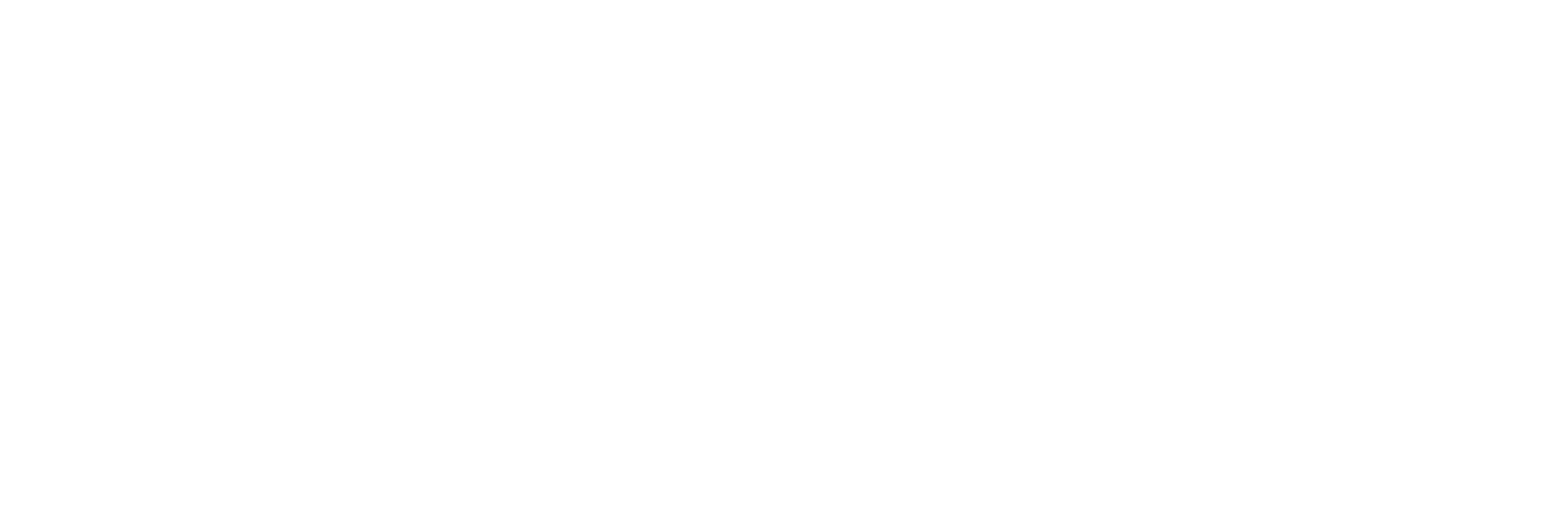 FIVB Boys' U19 World Championship 2025