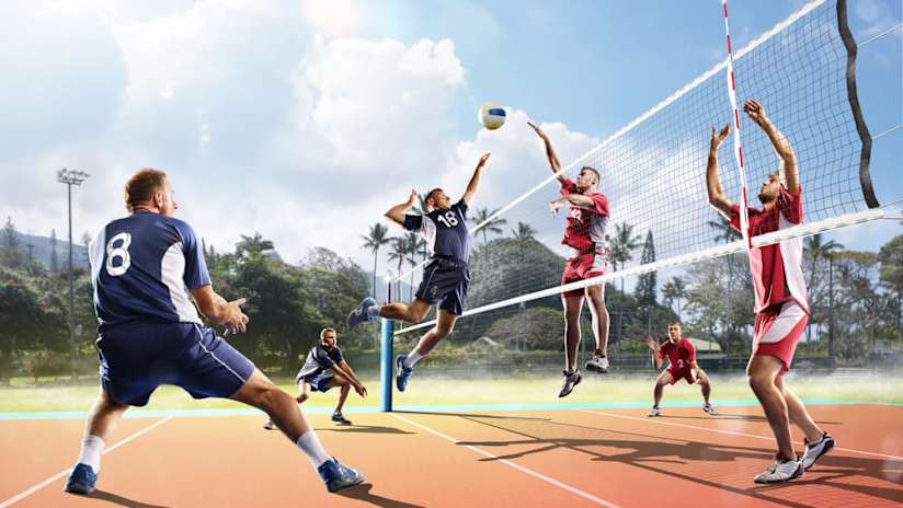 Learn the positions and roles of volleyball players.