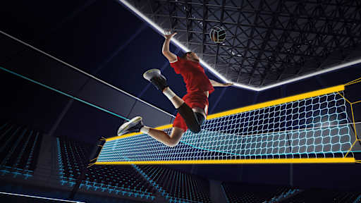 Dove guardare le partite di pallavolo