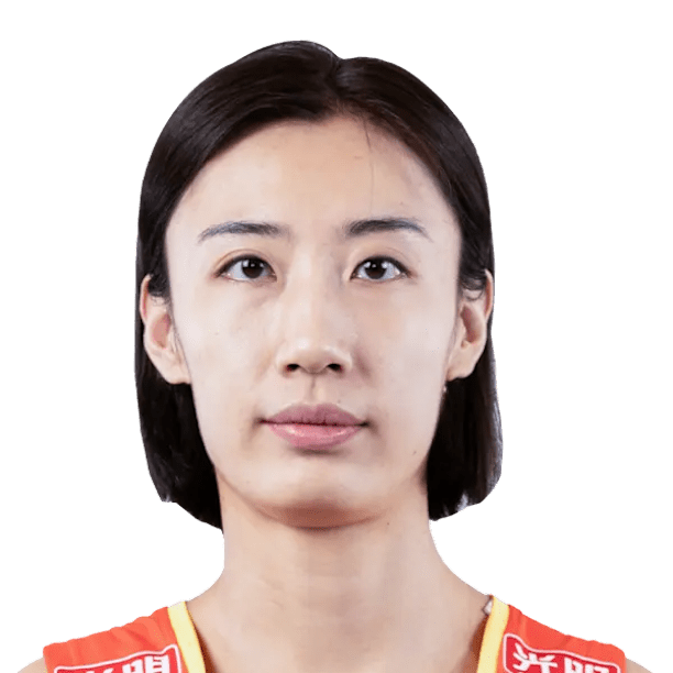 Wang Y.Y.